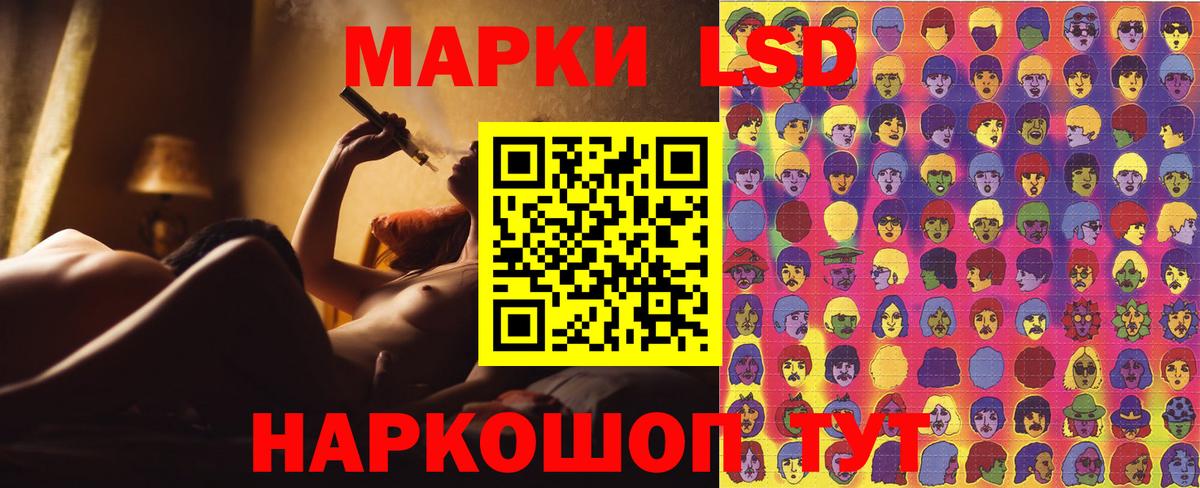 МЕФ Саров